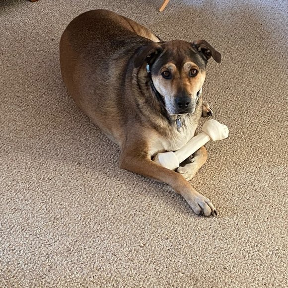 Ace's Outlet - Picture 1 of 4